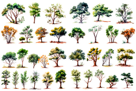 Watercolor pictures set of trees in different seasons.