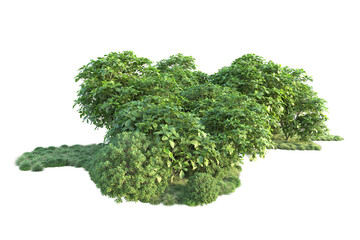 Obraz premium Green landscape isolated on transparent background. 3d rendering - illustration