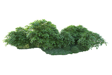 Green landscape isolated on transparent background. 3d rendering - illustration