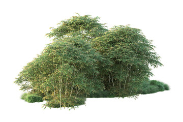 Fototapeta premium Green landscape isolated on transparent background. 3d rendering - illustration