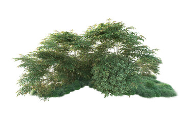 Green landscape isolated on transparent background. 3d rendering - illustration