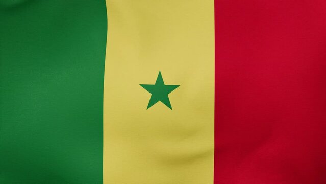 Senegal fabric flag - calm swaying in the wind, looped endless cycled video, completely full screen covers flag background
