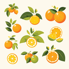Oranges and lemons vector flat minimalistic isolated illustration