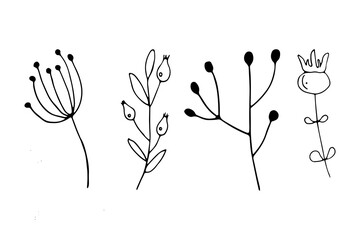 Set of autumn plants and flowers in doodle style.