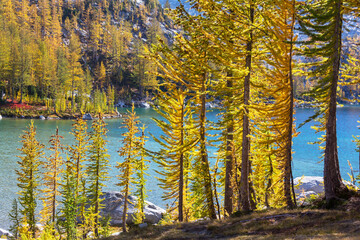 Fototapeta premium Alpine lake