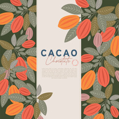 Cocoa bean illustration. Vintage style design template. chocolate cocoa beans. Vector illustration