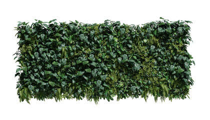 plant garden vertical on a transparent background