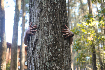Fototapeta premium Close-up of human's hand hugging tree trunk symbolizing for protecting, care of forest and love nature. Environment, ecology and Earth Day concept