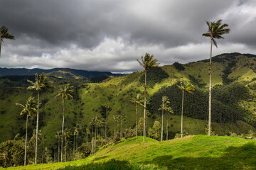 Obraz premium Cocora