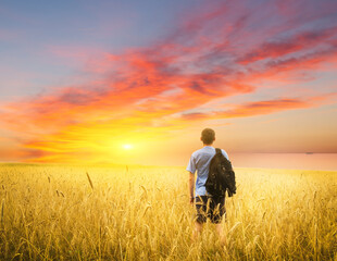 Man on yellow wheat meadow.