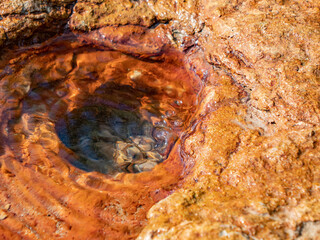 Mineral well from limestone deposits. Colonies of bacteria, cyenallae, diatoms and green algae as...