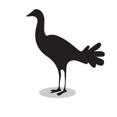 Dodo silhouettes and icons. Black flat color simple elegant Dodo animal vector and illustration.