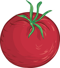 Tomato. Isolated vegetables on white background