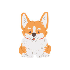 Happy sitting corgi dog front view flat style, vector illustration