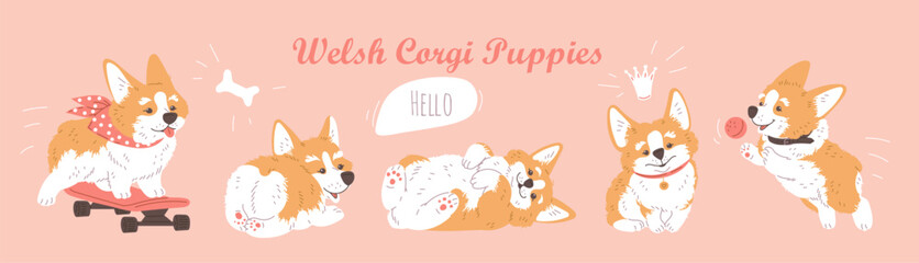 Welsh cartoon Corgi puppy dog in various poses, enjoy ride on skateboard, caressing, playing lovely pets character set