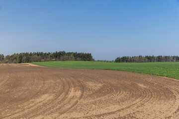 Fototapeta na wymiar the plowed soil during preparation for sowing agricultural plants