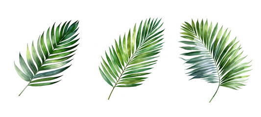 hand areca palm leaf watercolor ai generated