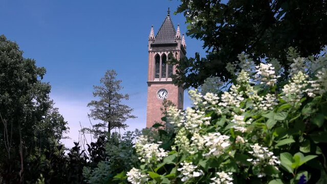 Iowa State University Campanile in Ames, Iowa with view through trees and flowers stable video.