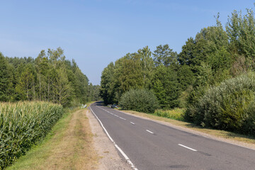 Fototapeta premium Paved road through the forest