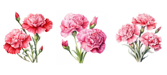 design carnation flowers watercolor ai generated