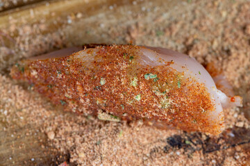 chicken fillets marinated in spices close-up