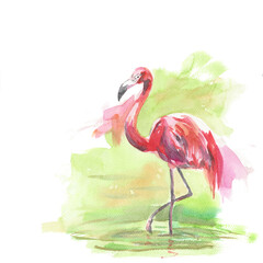 A pink flamingo watercolor sketch, watercolor illustration, sketch. Postcard, print, sticker 