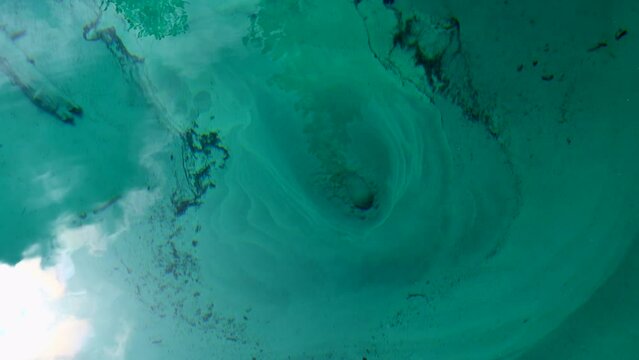 Cold water bubbles up in a cold artesian spring