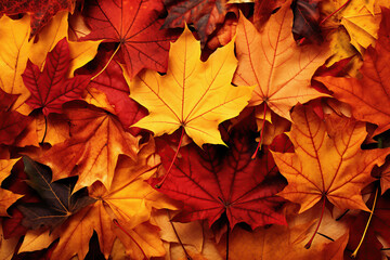 Autumn background with maple falling leaves , colorful , close up , geenrative ai