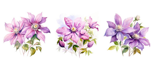 floral clematis flowers watercolor ai generated