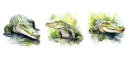 Fototapeten animal crocodile watercolor ai generated © sevector