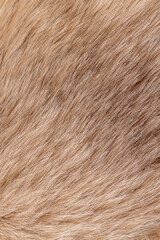 part of a fur coat made of natural beige arctic fox fur