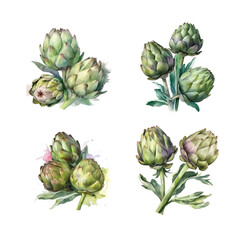  Artichokes watercolor paint