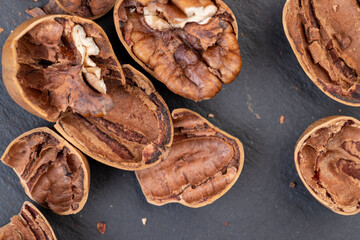 fresh crop of pecans on the surface