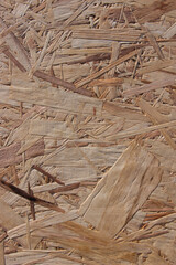 wood texture background