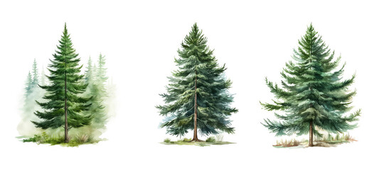nature fir tree watercolor ai generated