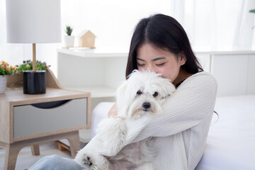 Beautiful young asian woman sitting carrying with fluffy dog shih tzu with love in bedroom at home,...