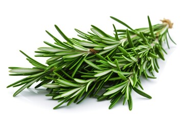 Bunch of rosemary on white background, generative AI
