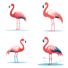 set of flamingo