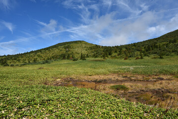 Fototapeta premium Climbing Mount Issaikyo, Tochigi, Japan