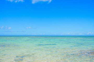 透き通った美しい沖縄の青い海