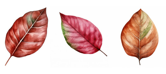 nature mahogany leaf watercolor ai generated - obrazy, fototapety, plakaty