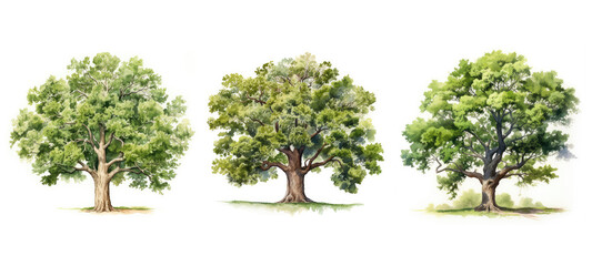 forest oak tree watercolor ai generated - obrazy, fototapety, plakaty
