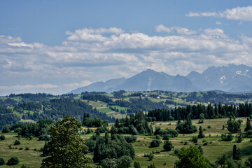 krajobraz, góra, niebo, charakter, góra, lato, odsłon, bory, zieleń, alpy, chmura, panorama, podróż, chmura, górka, dolina, drzew, europa, krajobrazowy, panoramiczne, gras, krajobraz, piękne, wysoki,  - obrazy, fototapety, plakaty