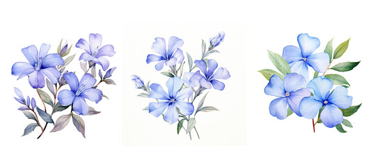 blossom periwinkle flowers watercolor ai generated