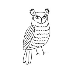 Cute hand drawn outlined owl. Forest bird. Perfect for t-shirt, apparel, cards, poster, nursery decoration. Vector Illustration