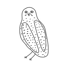 Cute hand drawn outlined owl. Forest bird. Perfect for t-shirt, apparel, cards, poster, nursery decoration. Vector Illustration