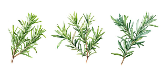 leaves rosemary watercolor ai generated