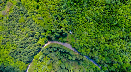 The road passing along the dense green forest in the mountains in early spring. Top view from a drone