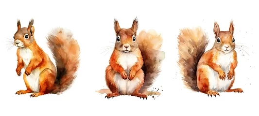 Fotobehang red squirrel watercolor ai generated © sevector