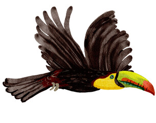 Bird watercolor painting © jenjira